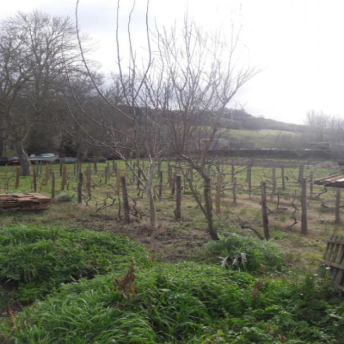 Offres de vente Terrain Saint-Sulpice-sur-Lèze (31410)