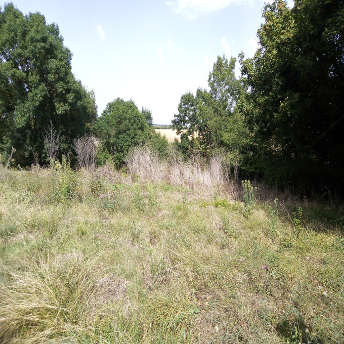 Offres de vente Terrain Saint-Ybars (09210)