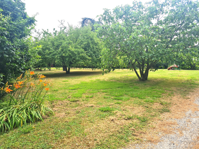 Offres de vente Terrain Lézat-sur-Lèze (09210)