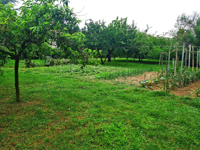 Offres de vente Terrain Saint-Sulpice-sur-Lèze (31410)